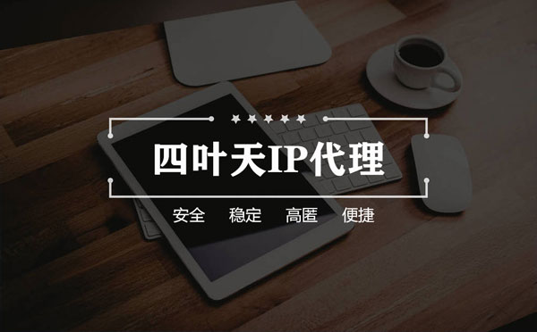 【泰安代理IP】如何快速搭建代理IP？怎么检查代理的效果？